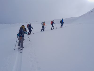 20260403_100251.jpg