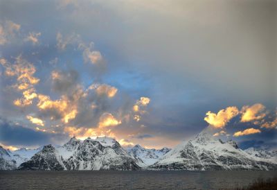 img_178_3.jpg