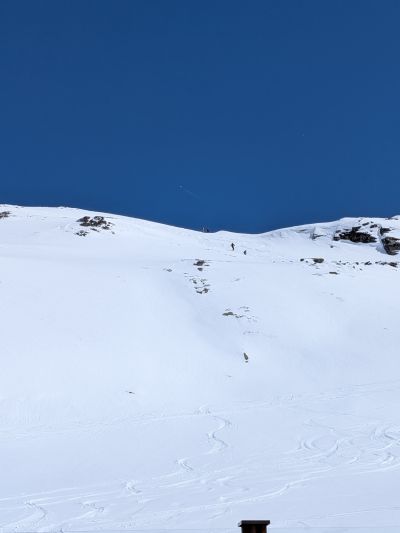 PXL_20260403_122353983.jpg