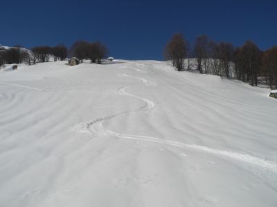 img_407_10.jpg