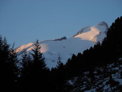 img_561_1.jpg
