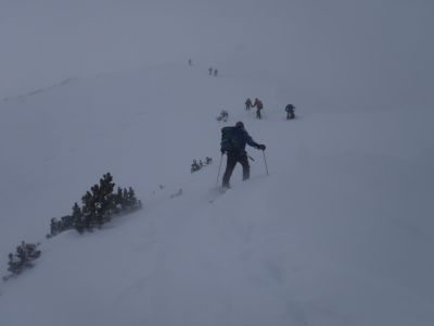 img_253_1.jpg