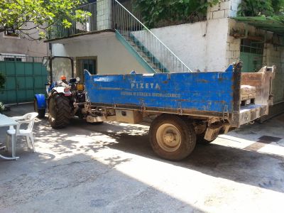 img_322_1.jpg