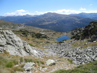 img_378_7.jpg