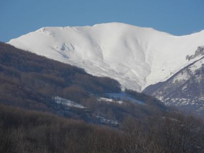 img_414_7.jpg