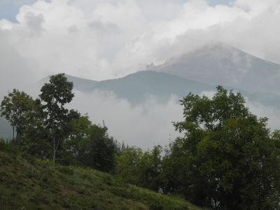 img_446_1.jpg