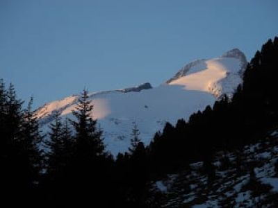 img_561_3.jpg