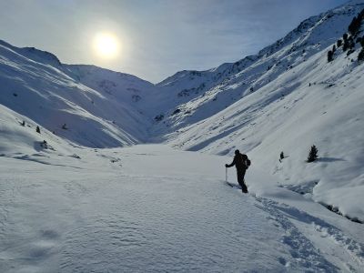 20250104_110457.jpg