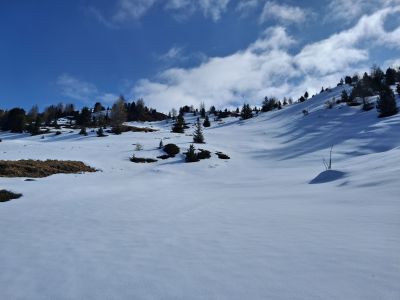 2026-03-21 10.25.07.jpg