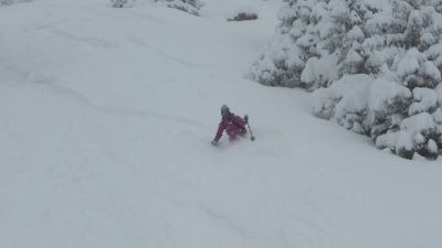 img_249_2.jpg