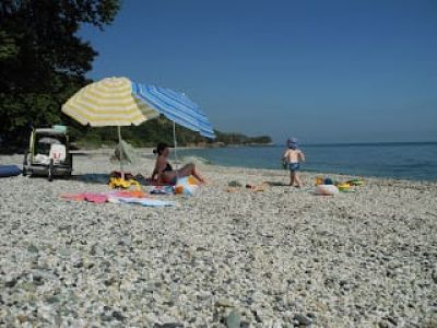 img_389_12.jpg