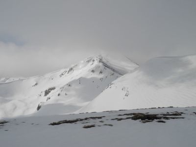 img_389_4.jpg