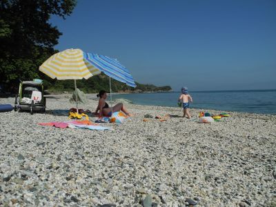 img_389_6.jpg