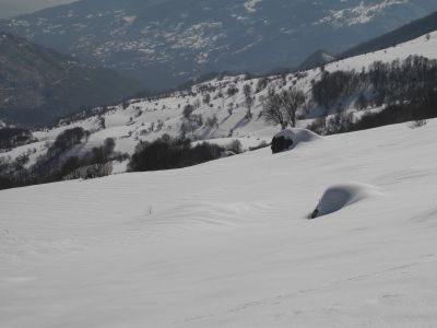 img_407_9.jpg