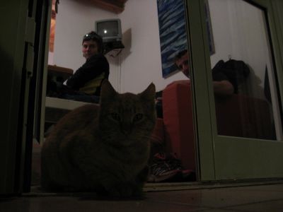 img_603_3.jpg