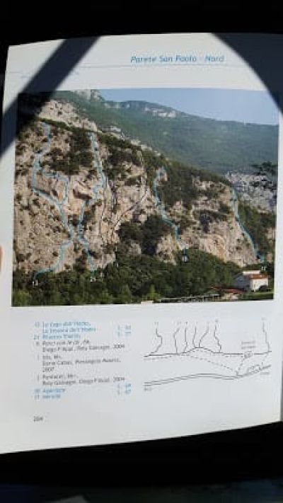 img_240_7.jpg