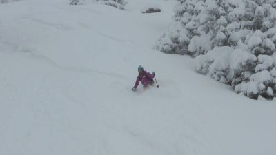 img_249_1.jpg