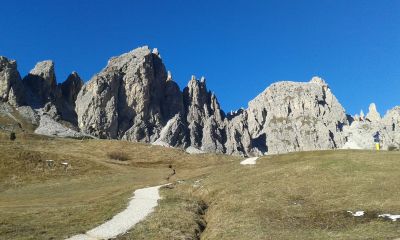 img_264_1.jpg