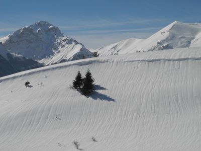 img_395_2.jpg