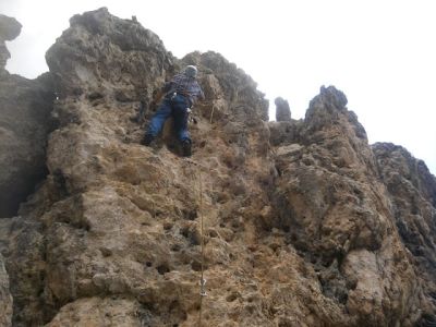 img_466_3.jpg
