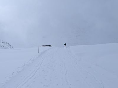 PXL_20260331_144932348.jpg