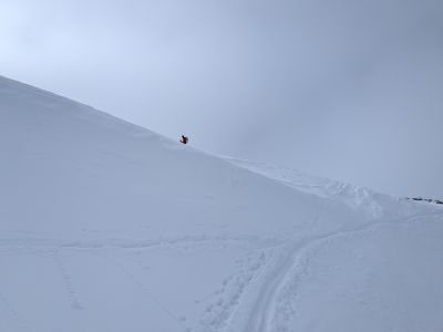 PXL_20260403_080937853.jpg