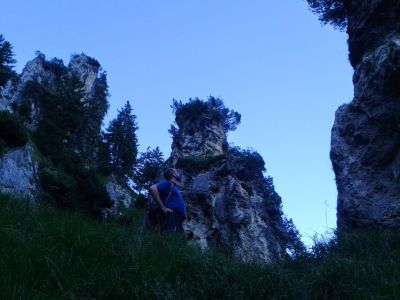 img_318_3.jpg