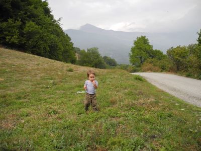 img_446_5.jpg