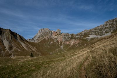 DSC03060.jpg
