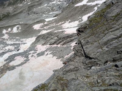 PXL_20240715_104103916.MP.jpg