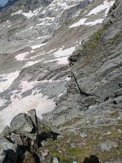 PXL_20240715_104118116.MP.jpg