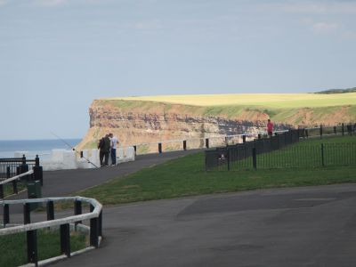 img_222_6.jpg