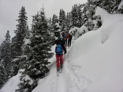 img_349_3.jpg