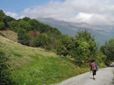 img_446_8.jpg
