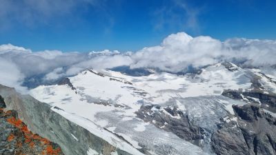 IMG-20260713-WA0108.jpg