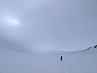 PXL_20260403_075517165.jpg