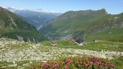 img_270_6.jpg