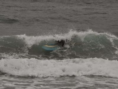 img_282_11.jpg