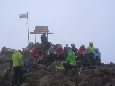 img_379_1.jpg