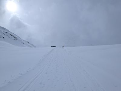 PXL_20260331_144929745.jpg