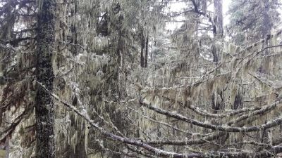 img_231_11.jpg