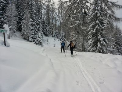 img_358_1.jpg
