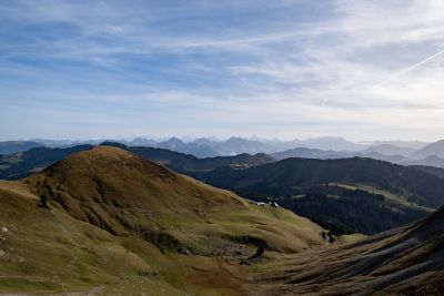 DSC03071.jpg