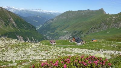img_270_3.jpg
