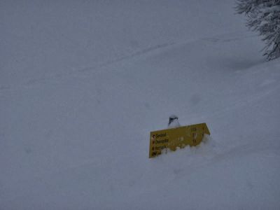 img_341_3.jpg