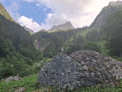 20260720_185452.jpg