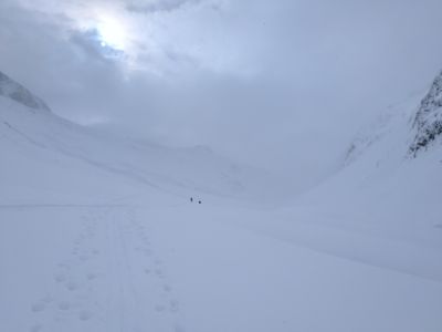 PXL_20260401_075654757.jpg