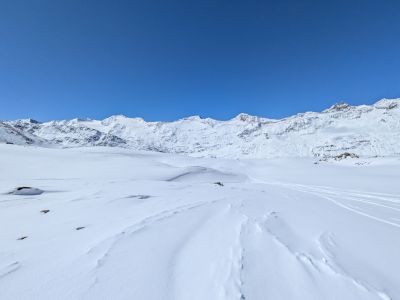 PXL_20260403_110244944.jpg