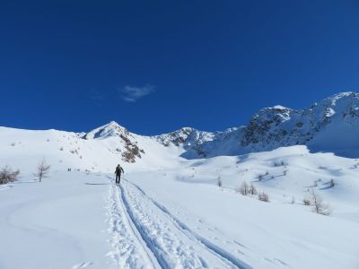 img_162_2.jpg