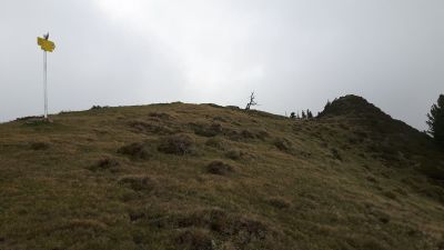 img_231_1.jpg